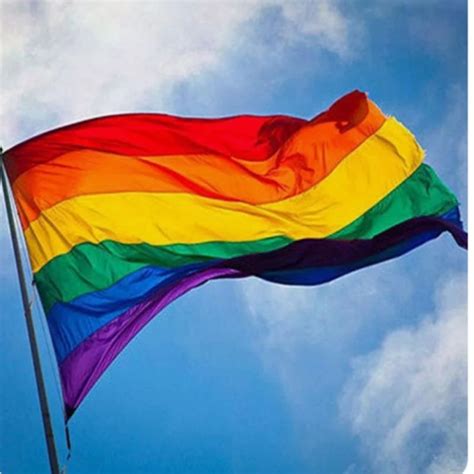 Bandeira Arco Ris Lgbt Orgulho Gay Homossexual Shopee Brasil
