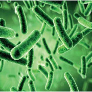 Microbial fuel cell components. | Download Scientific Diagram