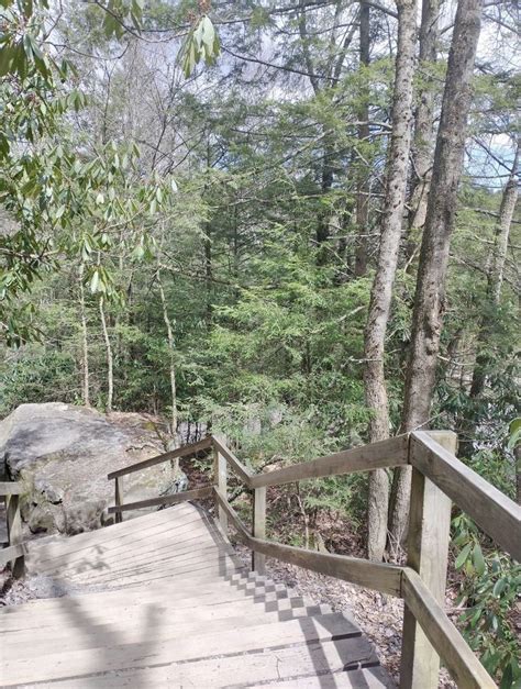 Blackwater Falls Boardwalk Trail Blackwater Falls State Park Davis