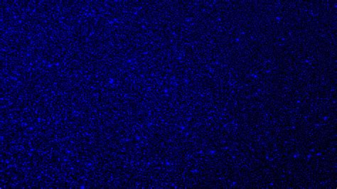 sparkling dark blue background  stock photo public domain pictures
