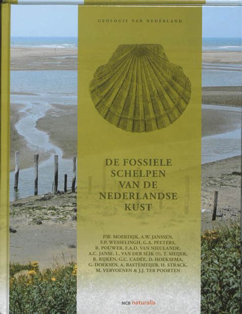 Architectura Natura De Fossiele Schelpen Van De Nederlandse Kust