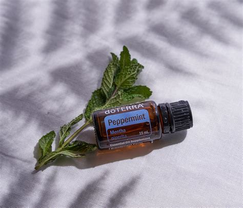 Эфирное масло doTERRA Мята перечная, Peppermint, 15 мл купить с ...
