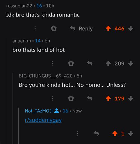 I M Not Gay Unless R Suddenlygay