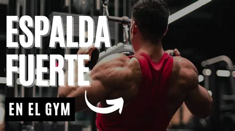 Los Mejores Ejercicios Para Espalda En El Gym Ejercicios Para Espalda