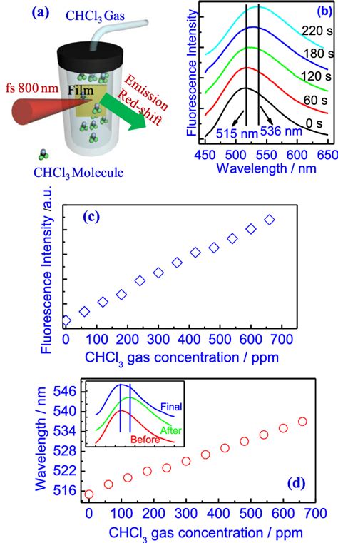 (a) Schematic diagram of the optical measurement setup. (b ...