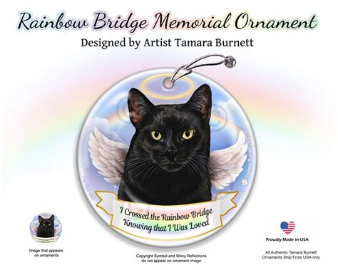 Raining Cats And Dogs Black Cat Rainbow Bridge Memorial Ornament