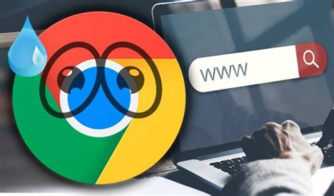 Amplia Tu Seguridad Con Los Mejores Buscadores Alternativos A Google De