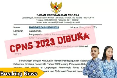 Cpns Dibuka Tanggal September Inilah Jadwal Prosedur