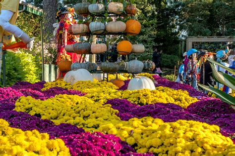 Nc State Fair Oct 2018 57 Tom Flickr