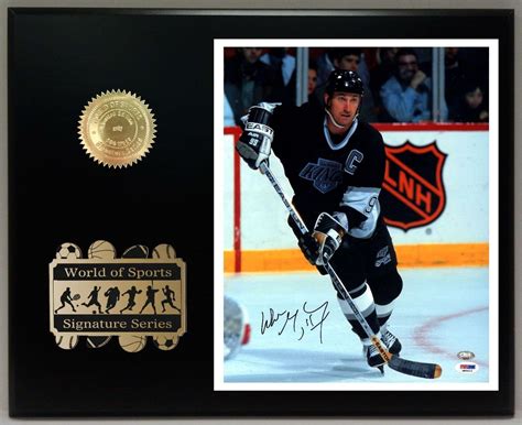 Wayne Gretzky Ltd Edition Reproduction Signature Display - Gold Record ...