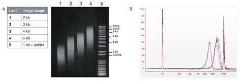 DNA shearing & RNA shearing for Next-Generation Sequencing (NGS ...