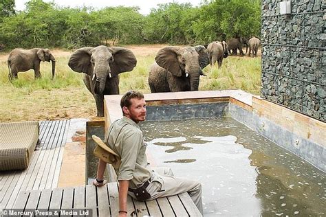 Safari Ranger Is Crushed To Death By Sexually Charged Bull Elephant At