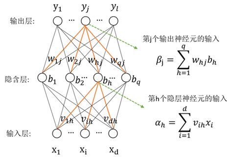 Mler必知的8个神经网络架构 知乎