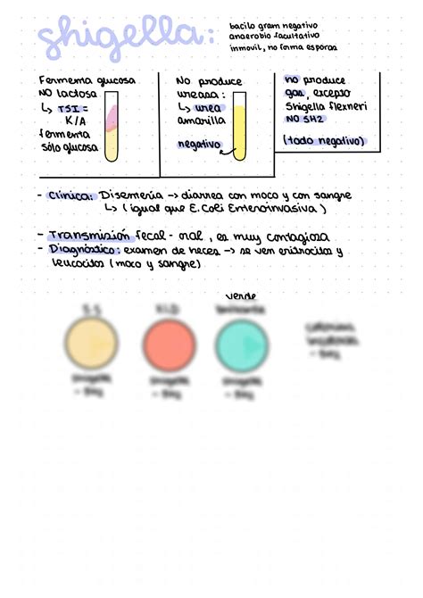 Solution Guia Microbiologia Bacterias Compressed Studypool