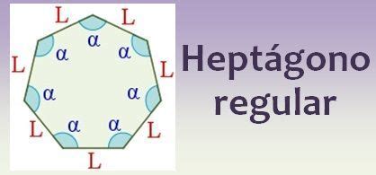 Heptágono regular