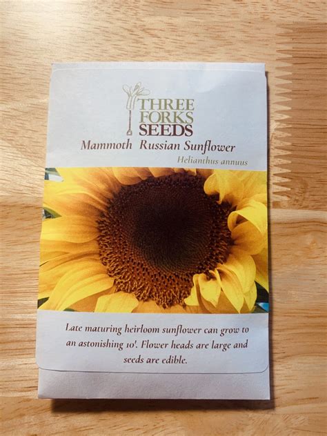 Organic Seed Mammoth Russian Sunflower Click Fork