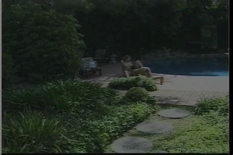 Big Boob Superstars 2 Adult Empire