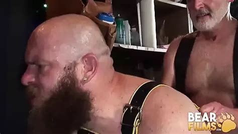 Free Hairy Bear Orgy Gay Porn Videos Xhamster
