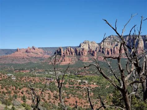 10 Best Hikes and Trails in Coconino National Forest | AllTrails