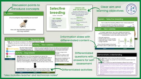 Selective breeding | Teaching Resources