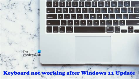 Keyboard not working after Windows 11 Update
