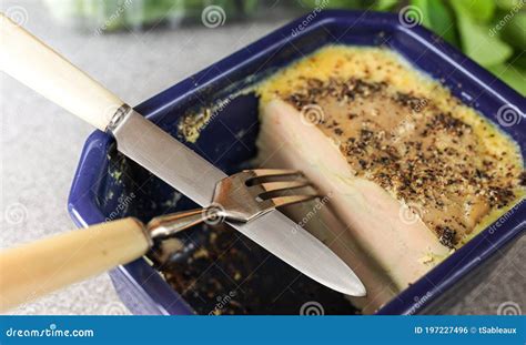 Homemade foie gras terrine stock photo. Image of french - 197227496