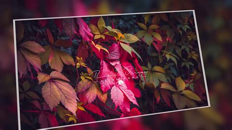 Creating The Fall Season Autumn With Lightroom Youtube