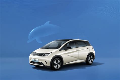 Byd Dolphin Freedom Version Ev Electric Car From China Buy Byd