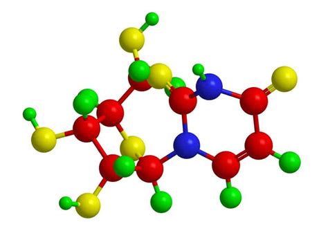 Uridine Monophosphate – Health Benefits, Side Effects, How To Use, And ...