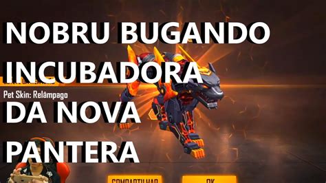 Nobru Bugando E Pegando Nova Incubadora Da Pantera Rara Youtube