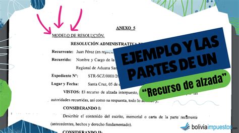 Ejemplo Y Las Partes De Un Recurso De Alzada