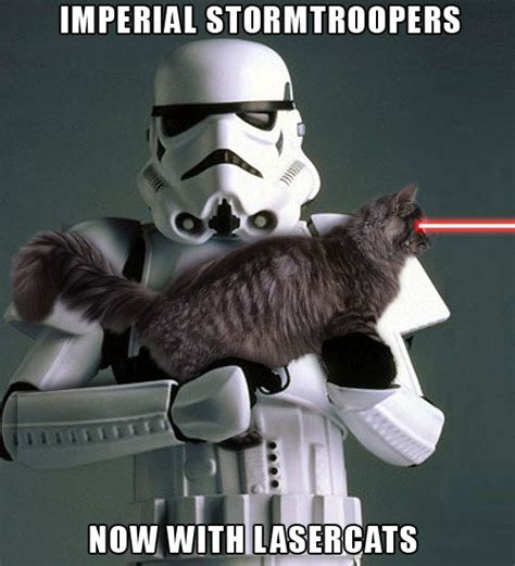 Star Wars Cats Cat Opedia