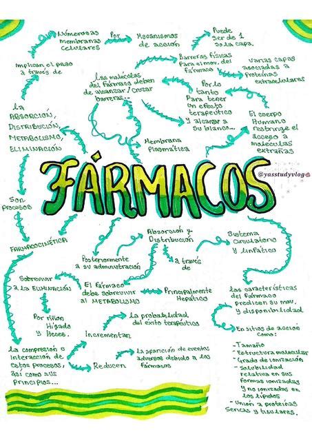 Mapa Mental Metabolismo De Fármacos Yasstudyvlog Udocz