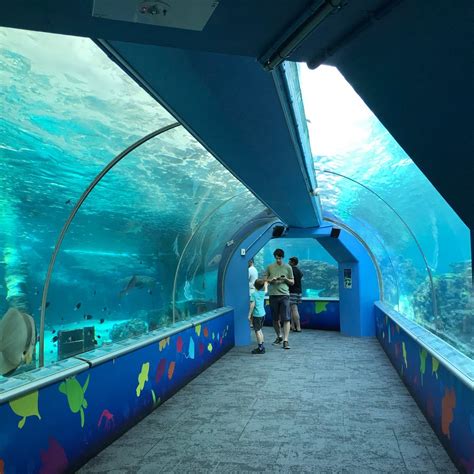 Reef Hq Great Barrier Reef Aquarium Townsville All You Need To Know