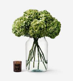 Pistachio Hydrangea | Green Hydrangea Bouquet | Certified B Corp | FLOWERBX UK