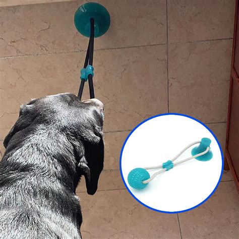 Jouet Interactif Ventouse Pour Chien Cordes Lastiques Jouet