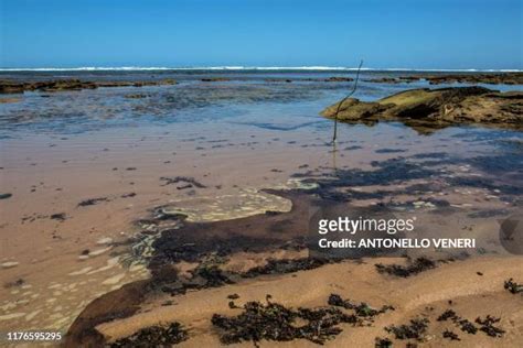 Oil Spill Beach Photos And Premium High Res Pictures Getty Images