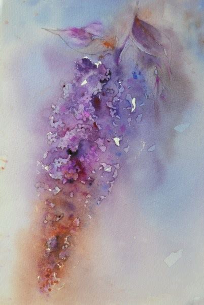 Jane Minter S Sketchbook Buddleia Summer Lilac