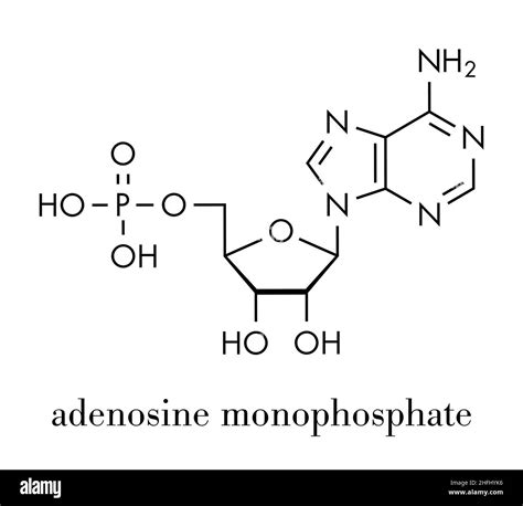 Cyclic nucleotide Black and White Stock Photos & Images - Alamy