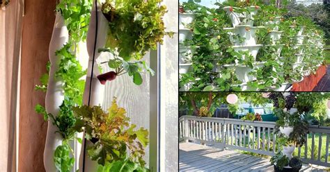 Diy Hydroponic Tower Garden | Fasci Garden