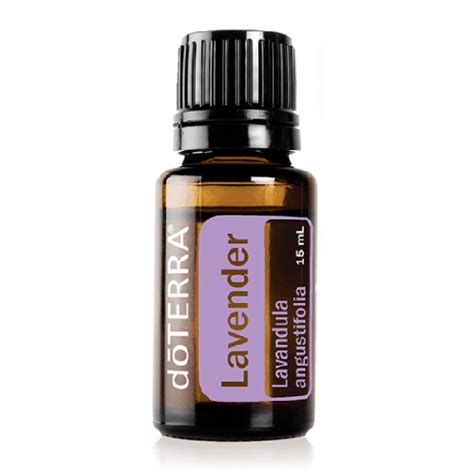 Lavandula Angustifolia Lavender Essential Oil