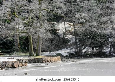 Landscape Frozen Longemer Lake Vosges Mountain Stock Photo