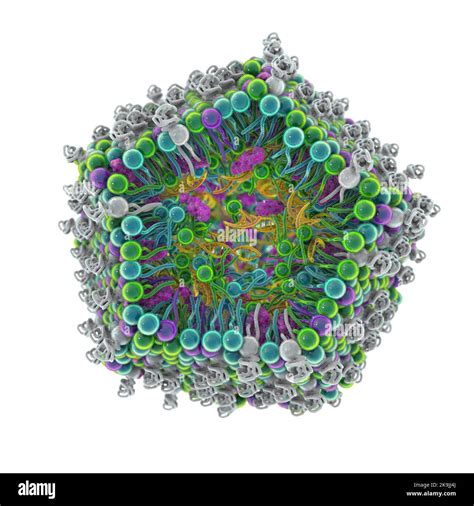 Nanopart Culas A Base De L Pidos Im Genes Recortadas De Stock Alamy