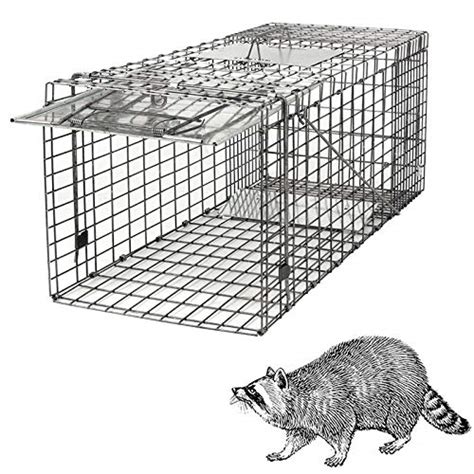 Our Recommended Top 20 Best bait for raccoon live trap Reviews and Buying Guide – Maine ...