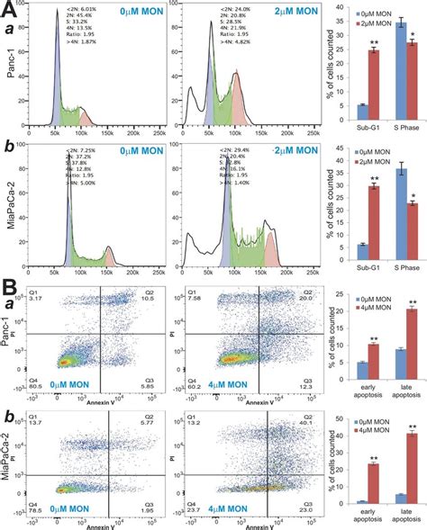 Monensin Inhibits Cell Cycle Progression And Induces Apoptosis In Human