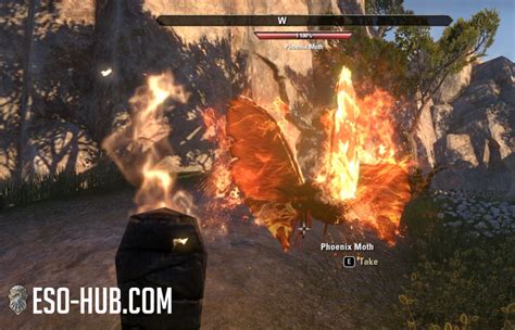 How To Obtain The Barkroot Blessing Skin In ESO All 10 Leads Found