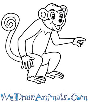 Cartoon Monkey Drawing