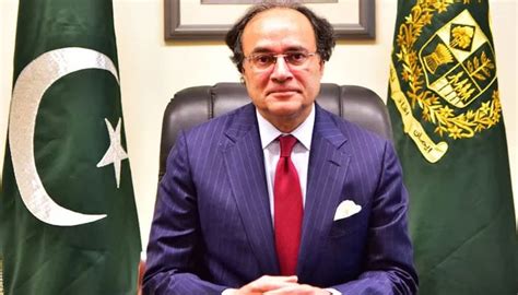 aurangzeb  lead ecc  pm shehbaz reshuffles key body