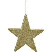 Floristik De Weihnachtsdeko Stern Anh Nger Golden Glitter Cm St