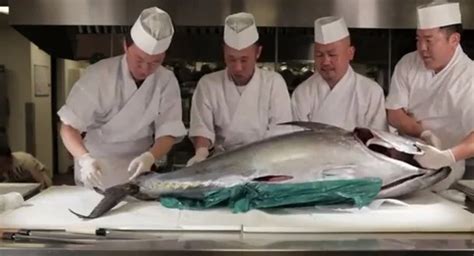 Watch A Sushi Master Break Down A Giant Tuna At Del Posto Gothamist